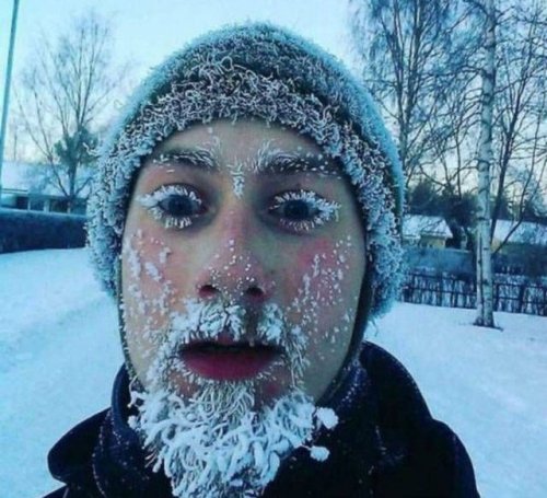Вот что такое — настоящая зима: 30+ фотографий, от которых вам станет холодно