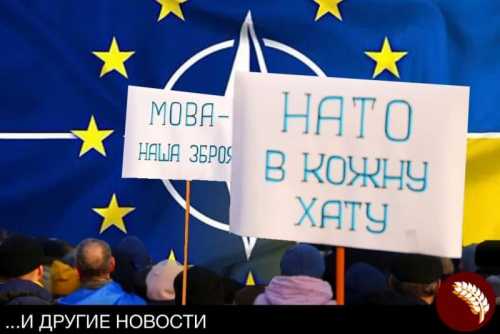 Новости стационара:Украина уверена – она заслужила своё место в НАТО