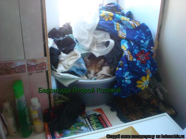 Уфф!!! Ну наконец-то! Котоматрицы великолепные, каждая с доброй улыбкой!!!