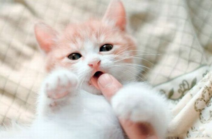 Давайте улыбаться вместе! :)