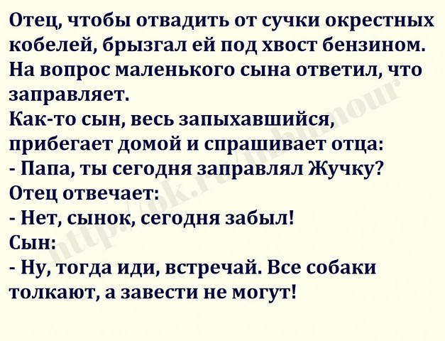 На автозаправке: — Должен вас предупредить: с сегодняшнего дня бензин подорожал... весёлые