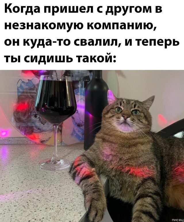 17 классных приколов в стиле «Когда...» 17 классных приколов в стиле «Когда...» позитив,смешные картинки,юмор