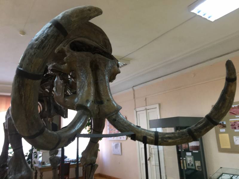 Древние культуры нашей страны: Куйбышевская экспедиция против буржуазных фальсификаторов Древние культуры нашей страны: Куйбышевская экспедиция против буржуазных фальсификаторов история