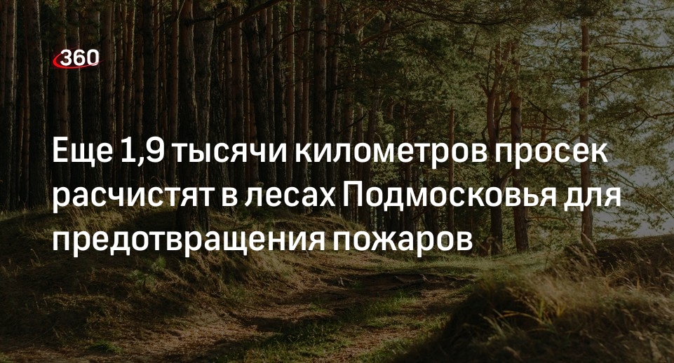 Еще 1,9 тысячи километров просек расчистят в лесах Подмосковья для предотвращения пожаров