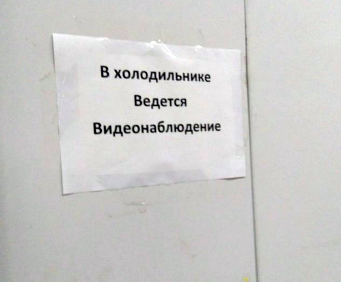 «Наконец-то я узнаю, что происходит в холодильнике, когда гаснет свет!»