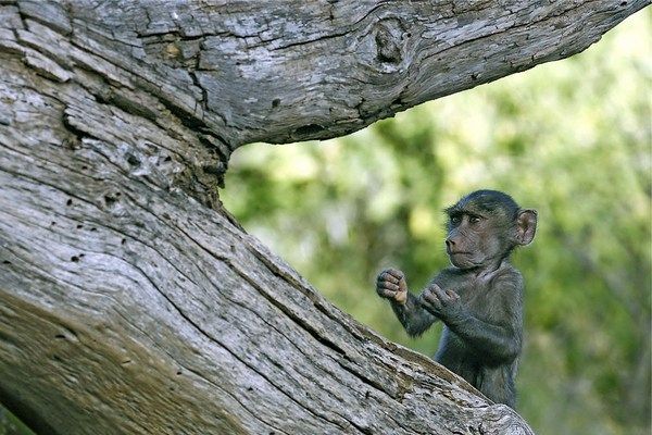 Давайте улыбаться вместе! :) (39улыбок)