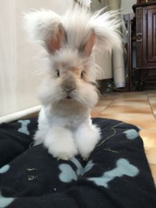 Вы всерьез думаете, что вам удастся сдержать свой смех?