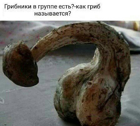 Муж и жена поссорились и общаются только записками. Жена пишет... Муж и жена поссорились и общаются только записками. Жена пишет... Весёлые,прикольные и забавные фотки и картинки,А так же анекдоты и приятное общение