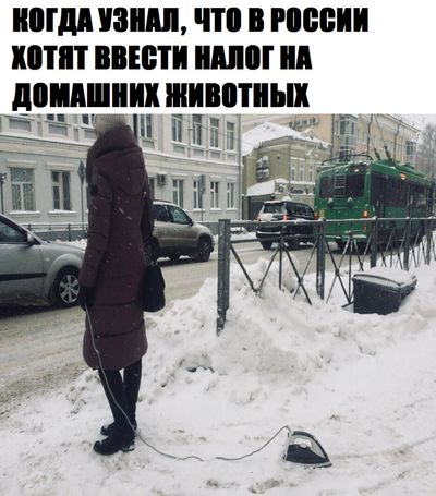 Подборка забавных и смешных фотографий с надписями из сети Подборка забавных и смешных фотографий с надписями из сети смешные картинки с надписями до слез