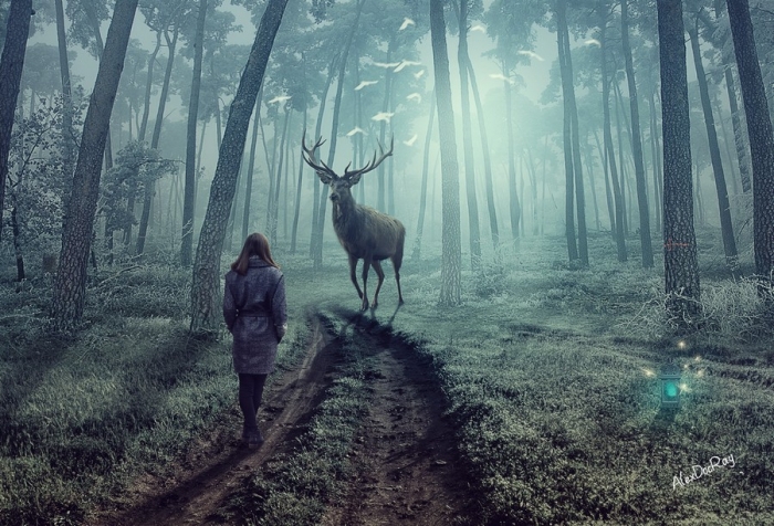 Фотоподборка 