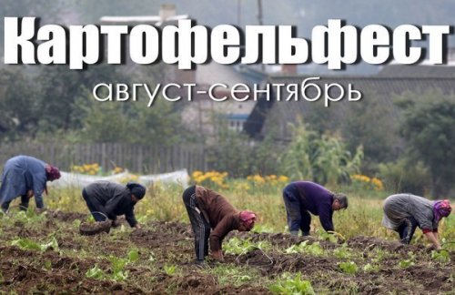 Порция анекдотов