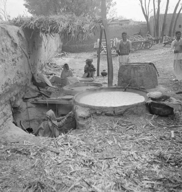 3. Женщина разжигает огонь, чтобы вскипятить сок сахарного тростника, Индия, 1952 год жизнь, исторические фото, история, прошлое, фото