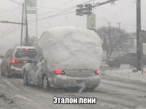 Хорошее настроение в прикольных картинках Хорошее настроение в прикольных картинках