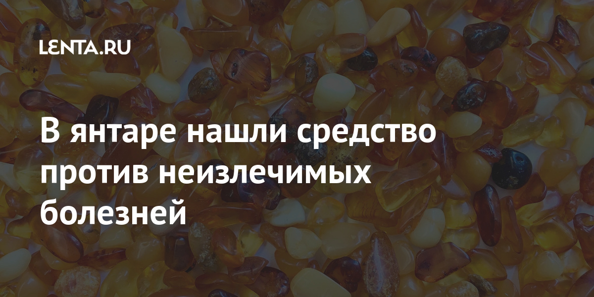 В янтаре нашли средство против неизлечимых болезней Наука и техника