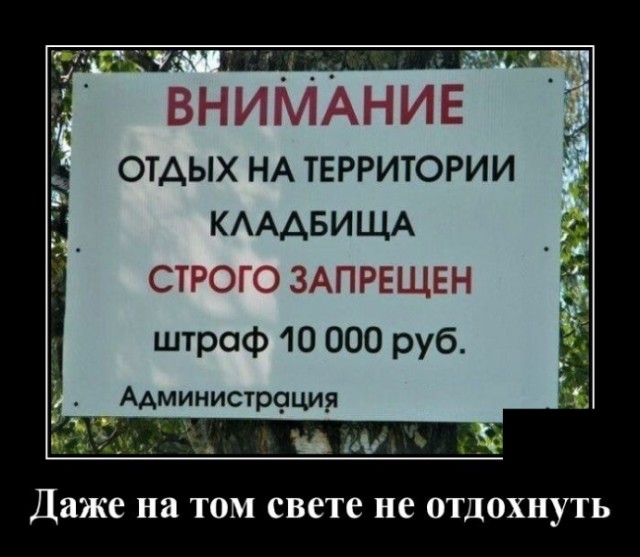 Самые новые демотиваторы  демотиваторы