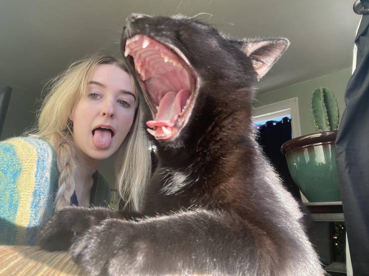 Подборка картинок. Вечерний выпуск Подборка картинок. Вечерний выпуск приколы,смешные картинки,юмор