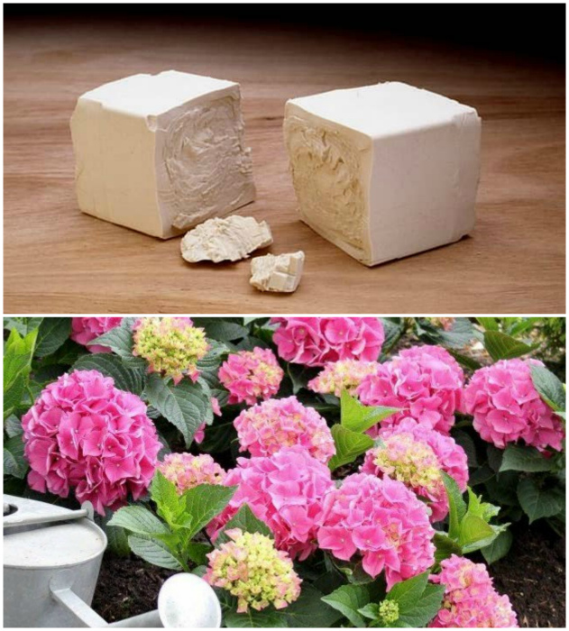 13 практичных советов, которые стоит взять на заметку всем дачникам в начале сезона 225,273,7871,7891,7897