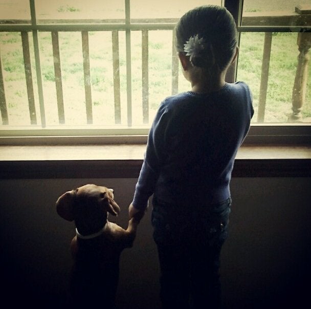 19 восхитительных фото детишек и песиков, которые созданы друг для друга 19 восхитительных фото детишек и песиков, которые созданы друг для друга