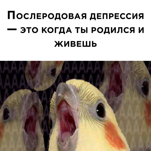 Подборка картинок. Вечерний выпуск Подборка картинок. Вечерний выпуск приколы,смешные картинки,юмор