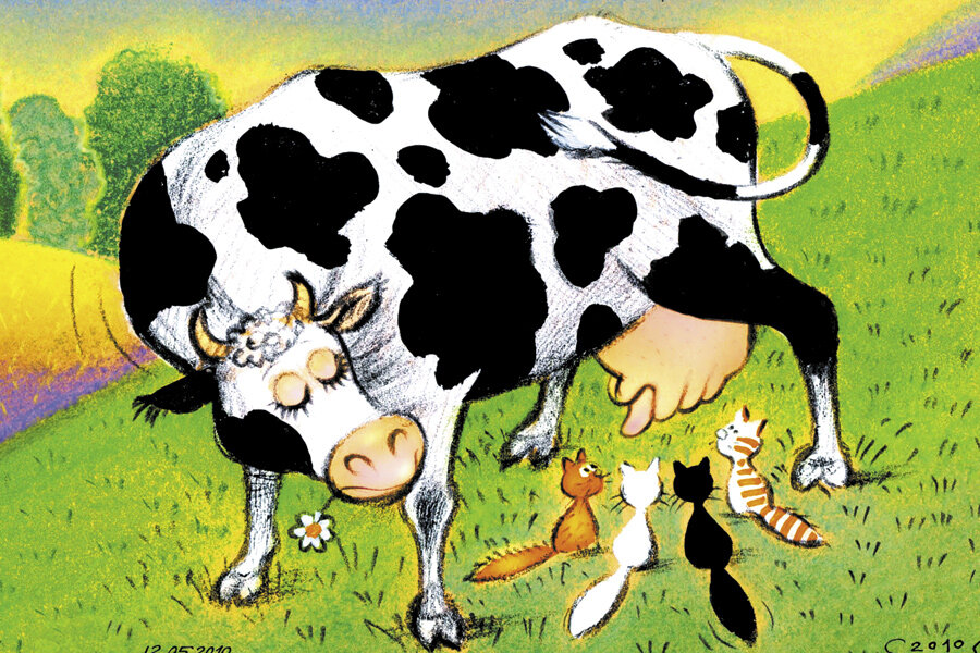 Корова по имени Ахтыбля