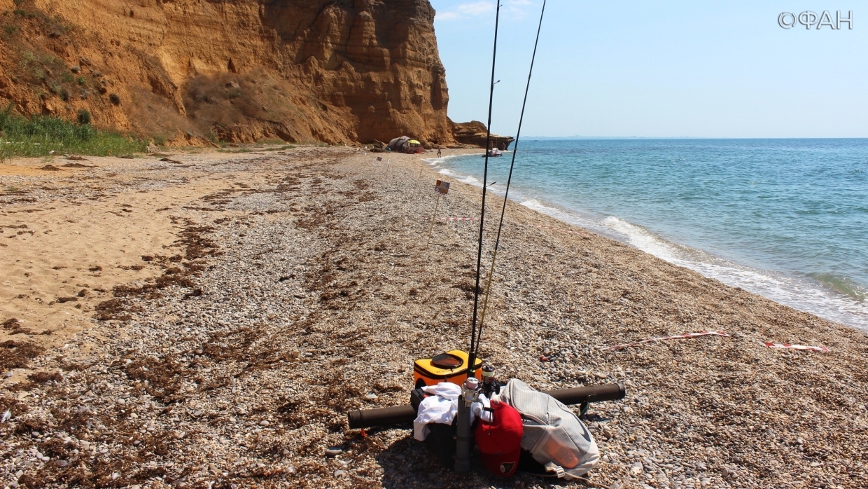 Ни одна рыба не пострадала: в Крыму прошел рыболовный фестиваль Black Sea Fishing Общество