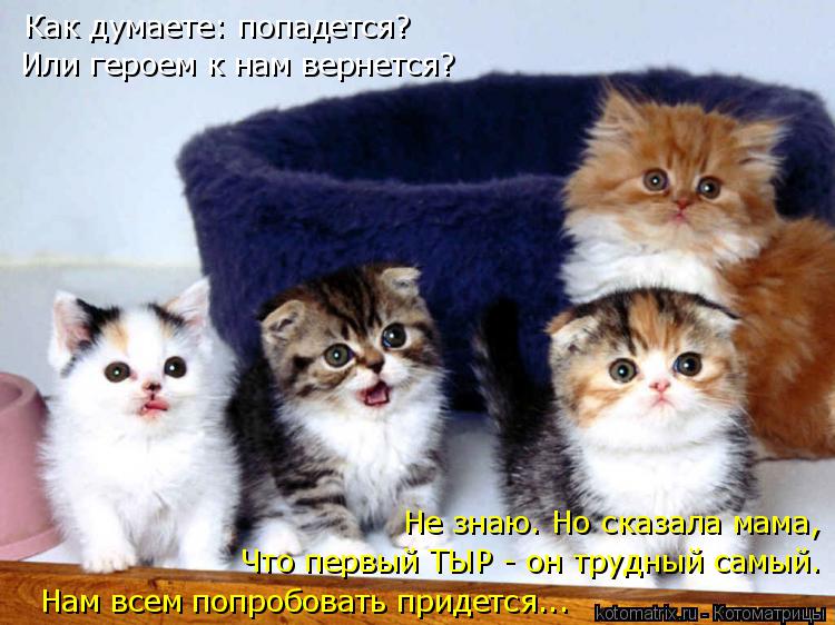 Котоматрица: Как думаете: попадется?  Или героем к нам вернется? Нам всем попробовать придется... Что первый ТЫР - он трудный самый. Не знаю. Но сказала мама