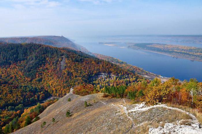 Животные Красной книги Самарской области: описание и фото