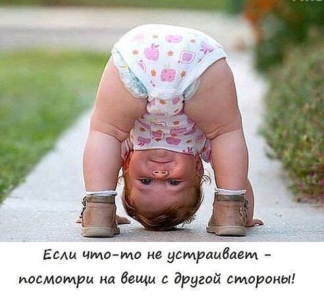 Будучи искушаем комарами, впал в грех сквернословия Будучи искушаем комарами, впал в грех сквернословия анекдоты,веселые картинки,приколы,юмор