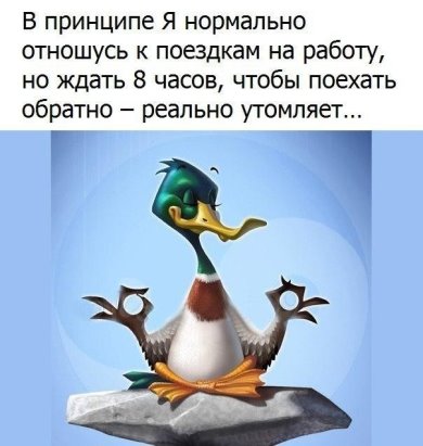     "".  "",  ,  