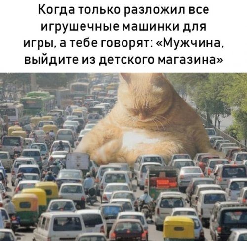 Самые забавные картинки 