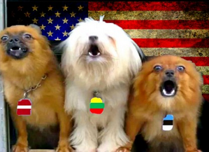 Прибалтика негодует: Европа отказалась поддержать Чехию в конфликте с Россией