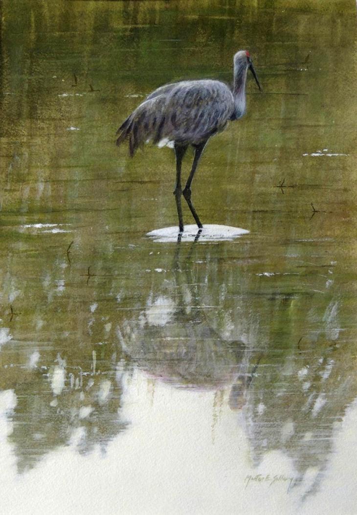 ����������-Morten-E.-Solberg-6