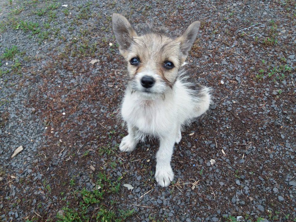 Подкидыш Подкидыш не всё так грустно