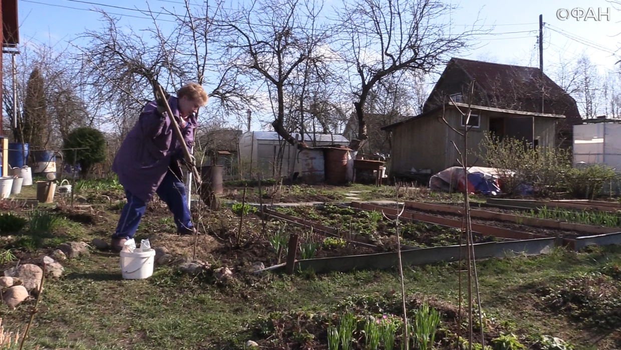 Жители Севастополя просят решить проблему отсутствия инфраструктуры в СНТ и ТСН