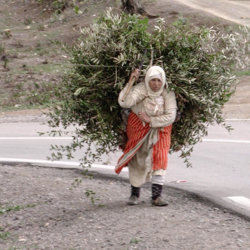 Британские ученые выяснили, что скоро мужики окончательно вымрут женщины, мужчины, прикол, юмор