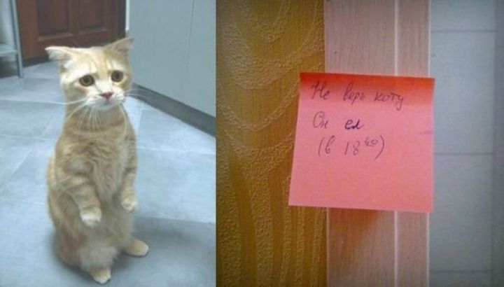 Мемуары нашей жизни 