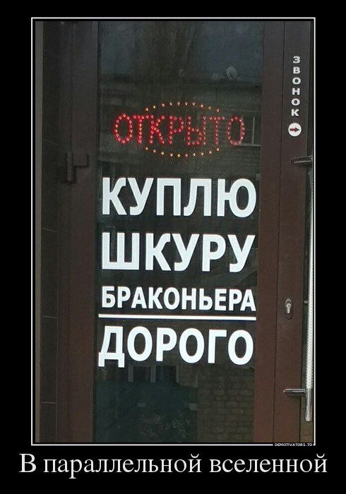 Свежие демотиваторы-приколы (13 шт)