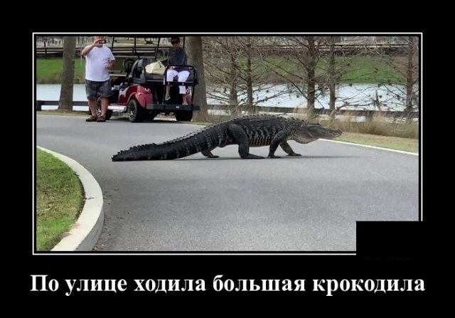 Прикольные демотиваторы в ассортименте 