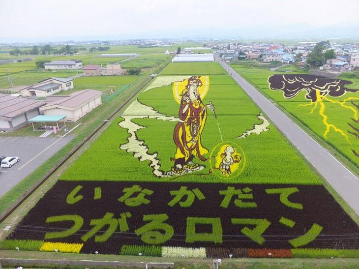 Искусство тамбо — невероятные картины на рисовых полях Японии история,путешествие,рисовые поля,тамбо,япония