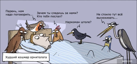 Юмор из интернета 643 Юмор из интернета 643 позитив,смех,юмор