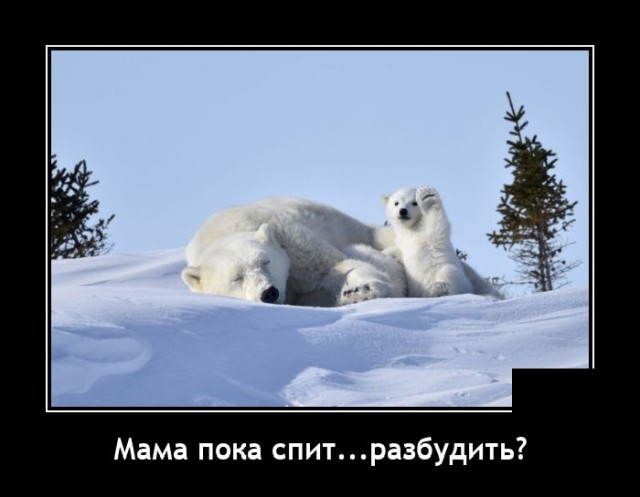 Самые новые демотиваторы  демотиваторы