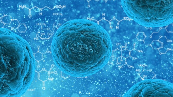 Почему нашему организму необходима слизь и зачем ученые советуют есть сопли слизь, позволяет, более, поверхности, некоторые, муцины, болезни, муцинов, слизи, желудок, чтобы, бактерий, около, молекулы, который, сопли, организма, кишечник, дыхательных, верхних