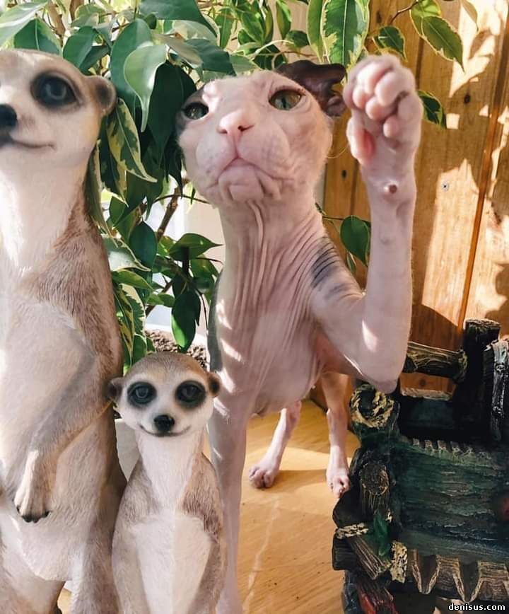 Короткие афоризмы и анекдоты