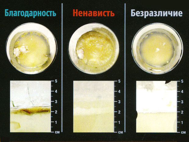 Вода - дико загадочная субстанция,  а может быть и вообще инопланетный разум может, можно, кластеры, молекулы, очень, знаешь, такая, команды, кластер, вещества, кластеров, водой, могут, только, молекул, потом, совсем, человека, которые, Эмото