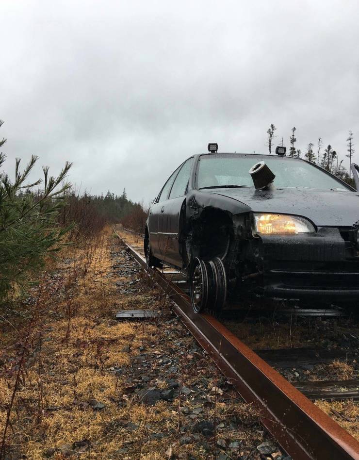 Подборка прикольных картинок  приколы,смешные картинки,юмор