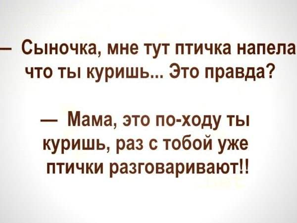 Солянка юмора из сети