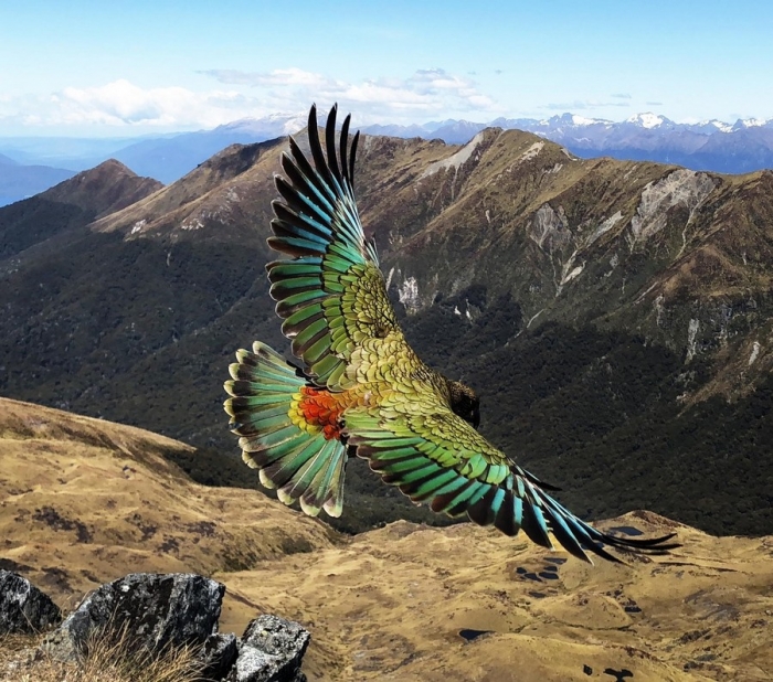 Фотоподборка 