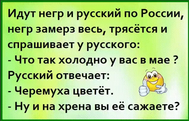 Корова возвращается в стадо. Мотает хвостом, глаза блестят, довольная вся...