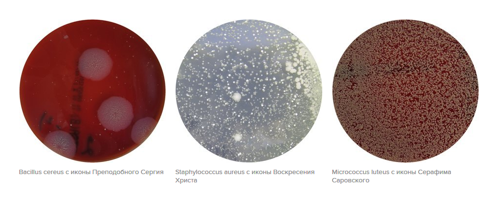 Женщина сделала бактериальный анализ московских икон. Результаты — тревожные religion,безопасность,жизнь,иконы