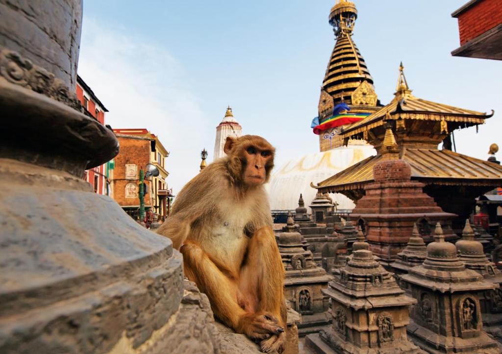 Непал: отдых в Непале, виза, туры, курорты, отели и отзывы